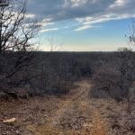 A dirt path winds through a leafless forest near 1502 Jones Rd, Woodson, TX, under a partly cloudy sky. The ground is covered with dry grass and fallen leaves, evoking a late autumn or early winter setting.
