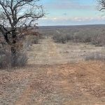 A dirt path leads through a dry, grassy landscape with bare trees on both sides under a partly cloudy sky near 1502 Jones Rd, Woodson TX. The horizon is visible in the distance, suggesting open real estate in the countryside.
