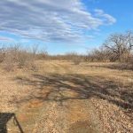 A dirt path winds through a dry, grassy field near 1502 Jones Rd in Woodson, TX, bordered by leafless trees under a partly cloudy blue sky. Shadows of branches stretch across the ground.