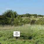 A grassy, open field with shrubbery under a clear blue sky in Aledo, TX. A white sign in the foreground reads "972 SAN JACINTO DRIVE." The area appears natural and undeveloped.