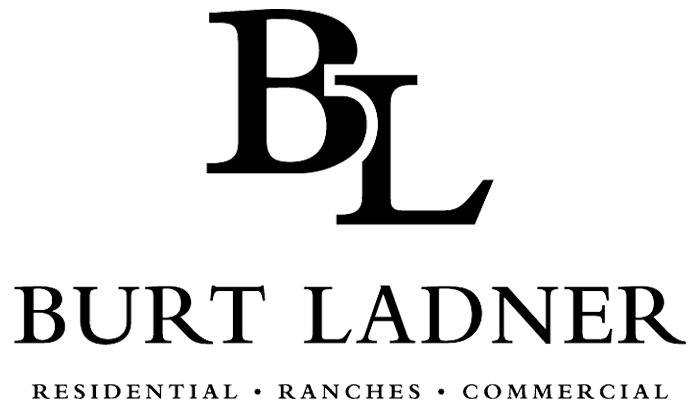 Burt-Ladner-Footer-Logo