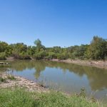 A small pond surrounded by grass and trees under a clear blue sky, with a simple wooden dock extending over the water on the left side.