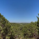 A scenic view of a lush green forest framed by tall trees under a clear blue sky, with distant hills visible on the horizon.