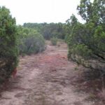 A dirt path runs through a dry, rugged area lined with green, bushy trees and sparse vegetation under a cloudy sky.