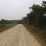 A gravel road stretches straight ahead through a rural landscape, bordered by trees and grassy fields under an overcast sky.
