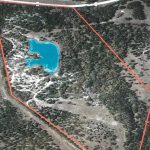Aerial map image showing a wooded area outlined in red, with a small, bright blue irregularly shaped pond near the center, surrounded by trees and open patches of land.