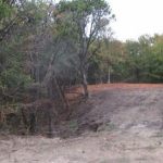 A dirt clearing bordered by dense trees with mixed green and brown foliage, under a cloudy sky. The area appears to be recently cleared, with bare soil and sparse grass in the foreground.