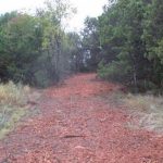 A dirt path covered with reddish-brown mulch runs through a wooded area with green trees and grass on both sides under a cloudy sky.