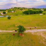 Aerial view of a rural landscape with cows grazing near a dirt road, green fields, scattered trees, ponds, and several houses under a partly cloudy sky.