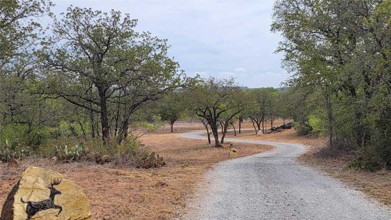 A winding gravel path curves through a dry, grassy area with scattered trees and cacti. In the foreground, a rock with a black deer silhouette is visible on the left side of the path. The sky is partly cloudy.