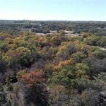 Aerial view of a forested landscape with trees displaying autumn colors, including green, yellow, and orange foliage, under a clear blue sky. Sparse patches of grassland are visible among the woods.