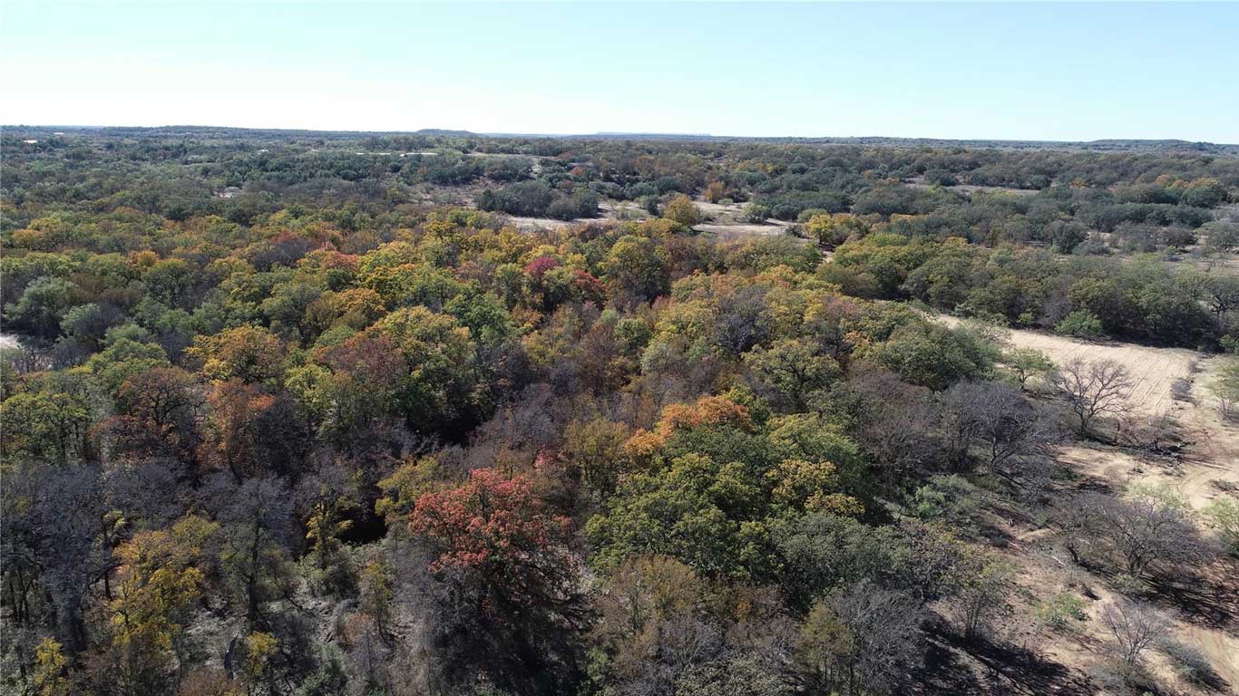 Aerial view of a forested landscape with trees displaying autumn colors, including green, yellow, and orange foliage, under a clear blue sky. Sparse patches of grassland are visible among the woods.