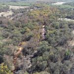 Aerial view of a dense forest with trees showing autumn colors, interspersed with patches of dry, open land and a narrow dirt path winding through the center. The landscape extends toward the horizon.