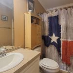 A bathroom with tan walls, a sink, and a toilet. A wood cabinet sits above the toilet. The shower curtain displays the Texas flag in the shape of the state, designed with a rustic, weathered look.