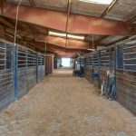 A wide aisle inside a horse stable with wooden stalls on both sides, metal bars above the stall doors, a dirt floor, and farm equipment hanging on the right. Sunlight filters in from an open door at the far end.
