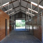 Interior of a clean, well-lit horse stable with wooden walls and stalls on both sides, metal railings on top, and an open doorway at the end showing greenery outside.