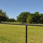 A grassy field enclosed by a wire fence, with trees lining the background under a clear blue sky.