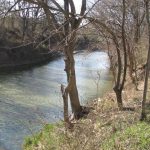 A river with trees and grass.