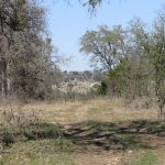 A dirt path runs through a rural landscape bordered by leafless trees and wire fencing, with grassy fields and distant hills visible under a clear blue sky.