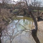 A calm, shallow river winds through a landscape of leafless trees and dry, sandy banks under a clear sky, creating a tranquil early spring or late autumn scene.
