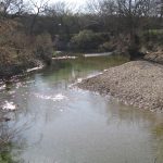A shallow, clear river winds through a landscape of bare trees and brush. Sunlight glistens on the water, and a gravelly bank curves along the right side of the scene.