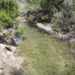 A narrow, shallow creek with clear water flows through a dry, rocky area surrounded by green shrubs and trees on both banks. Some grass and brush are visible along the edges.