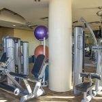 A modern gym with various exercise machines, weight benches, resistance equipment, and large stability balls, all set on a wood-patterned floor with mirrors along the walls.