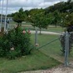 A chain-link fence with an open gate encloses a grassy yard with flowering bushes and small trees. A paved road and more greenery are visible in the background under a partly cloudy sky.