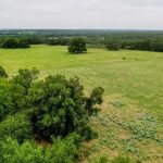Aerial view of a wide, green pasture near County Road 419 in De Leon, TX, with scattered trees and shrubs under a cloudy sky. A few cows graze in the distance as rolling hills stretch toward the horizon.