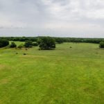 A wide expanse of green grassy field with scattered trees under a cloudy sky, featuring a few grazing cows in the distance along County Road 419 near De Leon, TX.