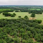 Aerial view of a rural landscape near County Road 419, De Leon TX 76444, featuring dense green trees in the foreground, open grassy fields, scattered trees, and a cloudy sky in the distance.