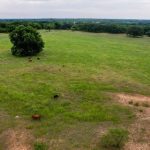 A wide, open grassy field with scattered trees and a few cows grazing under a cloudy sky near County Road 419 in De Leon, TX. The rural landscape is peaceful, with patches of bare earth visible amidst the greenery.