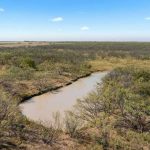 A small, muddy pond is surrounded by green shrubs and trees in a flat, open landscape under a blue sky with scattered clouds. The horizon stretches in the distance with more trees and fields.