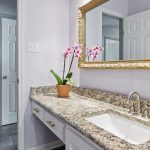 A bathroom with a granite countertop, white cabinets, a rectangular sink, a potted orchid plant, and a large ornate gold-framed mirror. Doors in the background lead to other rooms.