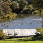 A wooden dock with two chairs and a canoe sits by a calm river, surrounded by green trees and grass. A flock of birds takes off from the water, creating ripples on the surface.