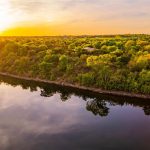 A golden sunset reflects off calm water surrounding a lush, tree-covered peninsula. The sky glows with warm hues, and dense greenery stretches across the landscape under soft light.