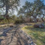 A dirt path winds through a grassy, sunlit area with large, leafy oak trees and logs lying on the ground under a clear blue sky.