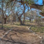 A dirt trail lined with small rocks winds through a forest of leafless and sparse trees under a clear blue sky. Sunlight filters through the branches, casting shadows on the path.