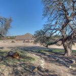 A rural landscape with large, sprawling trees casting shadows on the ground, a single-story house with a brown roof in the background, and a clear blue sky overhead.