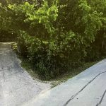 A narrow gravel driveway curves uphill next to a paved road labeled "E. Columbia St." The area is shaded by tall, leafy green trees lining both roads.