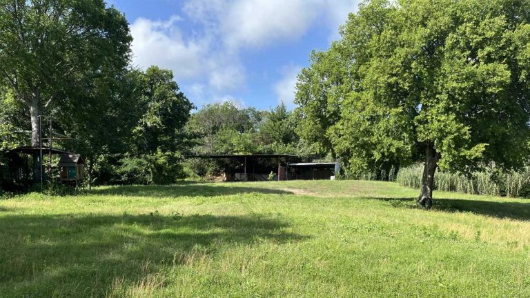 A grassy field with scattered trees under a blue sky with clouds. In the background, there are a few small, open-sided sheds or shelters surrounded by greenery.