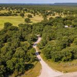 A winding dirt road runs through dense green trees and fields, with scattered houses and distant hills under a clear blue sky.