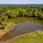 A small pond surrounded by green trees and grassy land under a clear sky, with distant hills visible in the background.