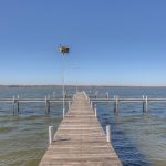 A wooden dock extends over calm water under a clear blue sky, with a birdhouse on a tall pole at the end of the dock and shoreline visible in the distance.
