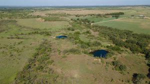 Aerial view of a rural landscape with open fields, scattered trees, and two small ponds surrounded by greenery under a clear sky.