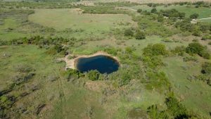 Aerial view of a small, circular pond surrounded by green grass, trees, and shrubs in a rural landscape, with open fields and a few scattered buildings in the distance.