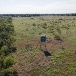 A green hunting blind on stilts stands in an open grassy field, surrounded by scattered shrubs and trees under a clear sky.