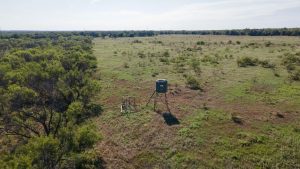 A green hunting blind on stilts stands in an open grassy field, surrounded by scattered shrubs and trees under a clear sky.