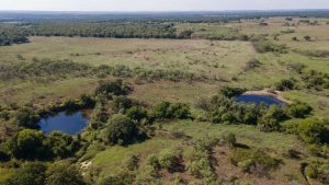 Aerial view of a vast grassy landscape with scattered trees, two small ponds, and open fields extending to the horizon under a clear sky.