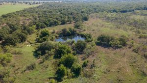 Aerial view of a small pond surrounded by dense green trees and open grassy fields, with more forested areas and clear land extending into the distance.